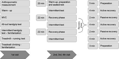 Optimizing active recovery strategies for finger flexor fatigue